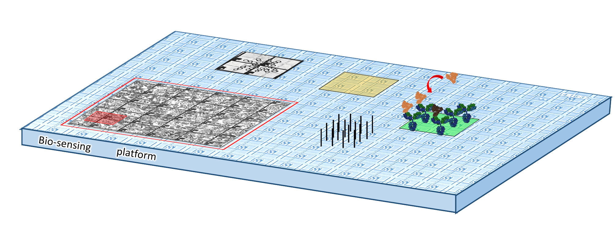 Bio-sensing platform